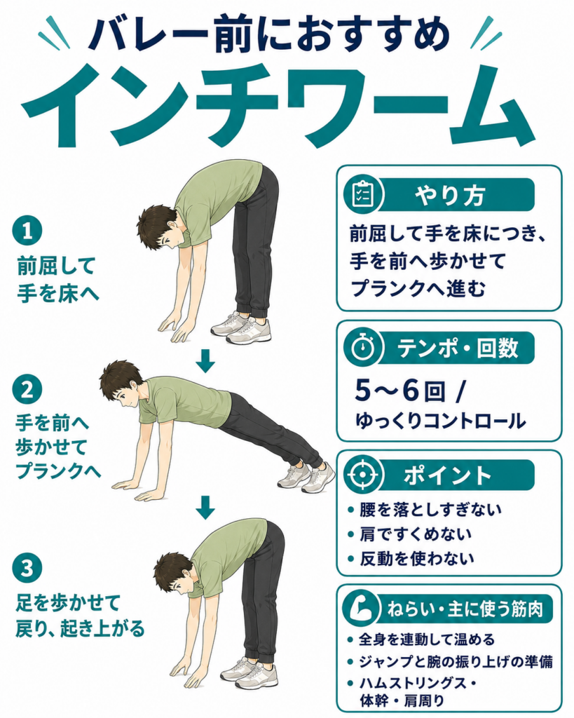 バレー前の動的ストレッチ インチワーム